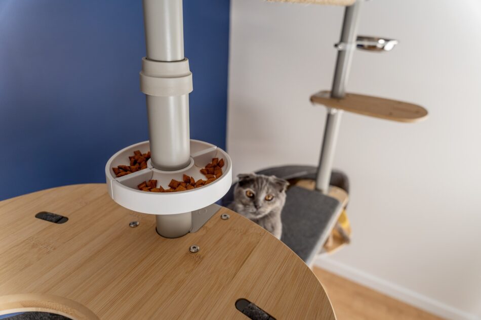Eine Katze betrachtet ihr Futter auf dem Omlet Freestyle Kletterbaum 