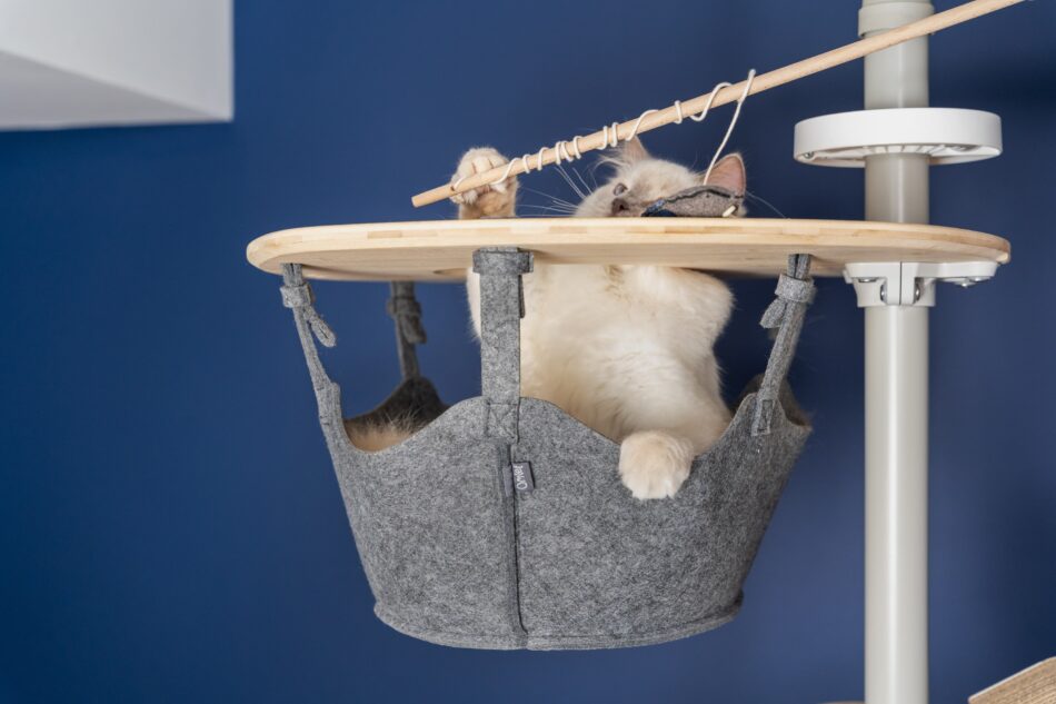Eine weiße Katze sitzt auf dem Freestyle Kratzbaum und spielt mit einem Omlet-Katzenspielzeug mit Katzenminze