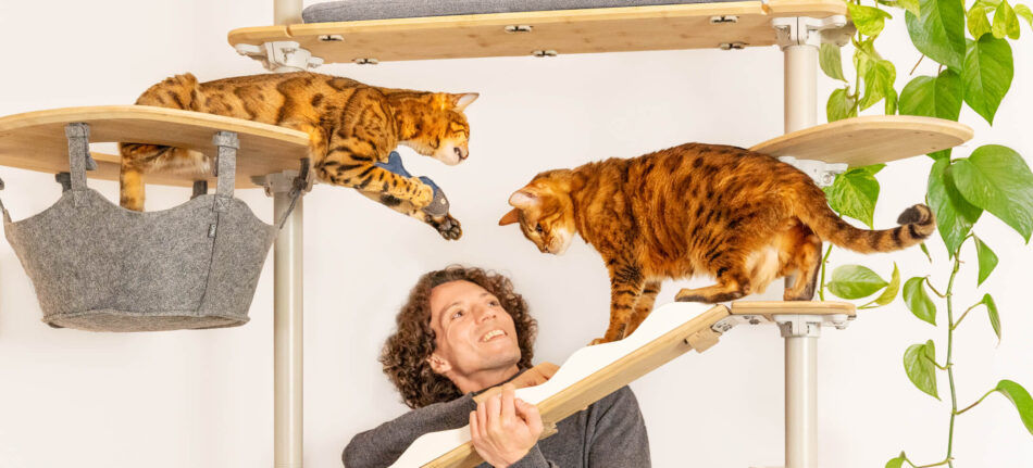 Ein Mann mit seinen zwei Katzen auf dem Omlet Freestyle-Kratzbaum - Indoor