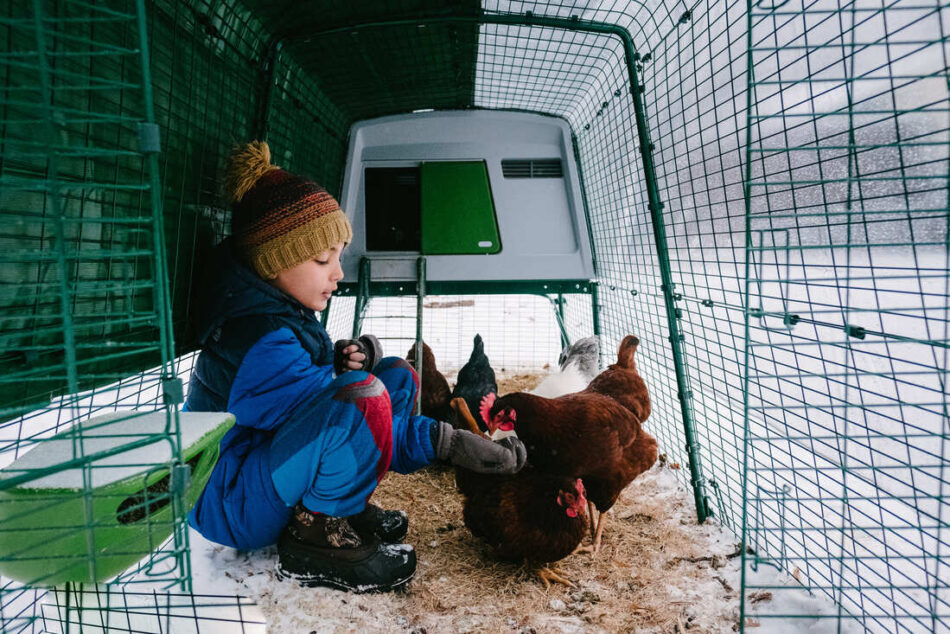 Ein Junge sitzt im verschneiten Eglu Hühnerauslauf 
