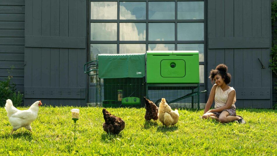 Wähle die besten Hühner für dich – ein Mädchen sitzt bei ihren Hühnern, die außerhalb ihres Eglu Cube frei herumlaufen