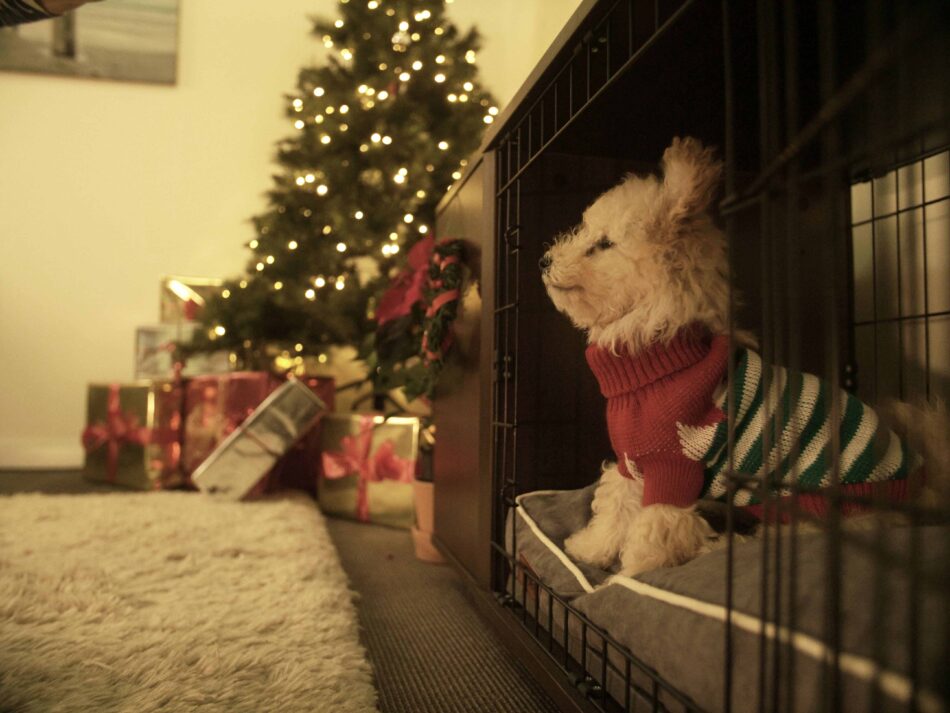 Ein Welpe sitzt in einer braunen Fido Hundebox mit einem Weihnachtsbaum im Hintergrund