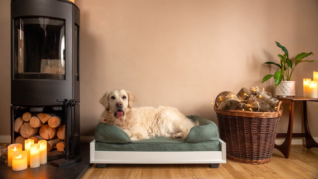 Ein Golden Retriever liegt auf einem blauen Omlet Polsterbett für Hunde.