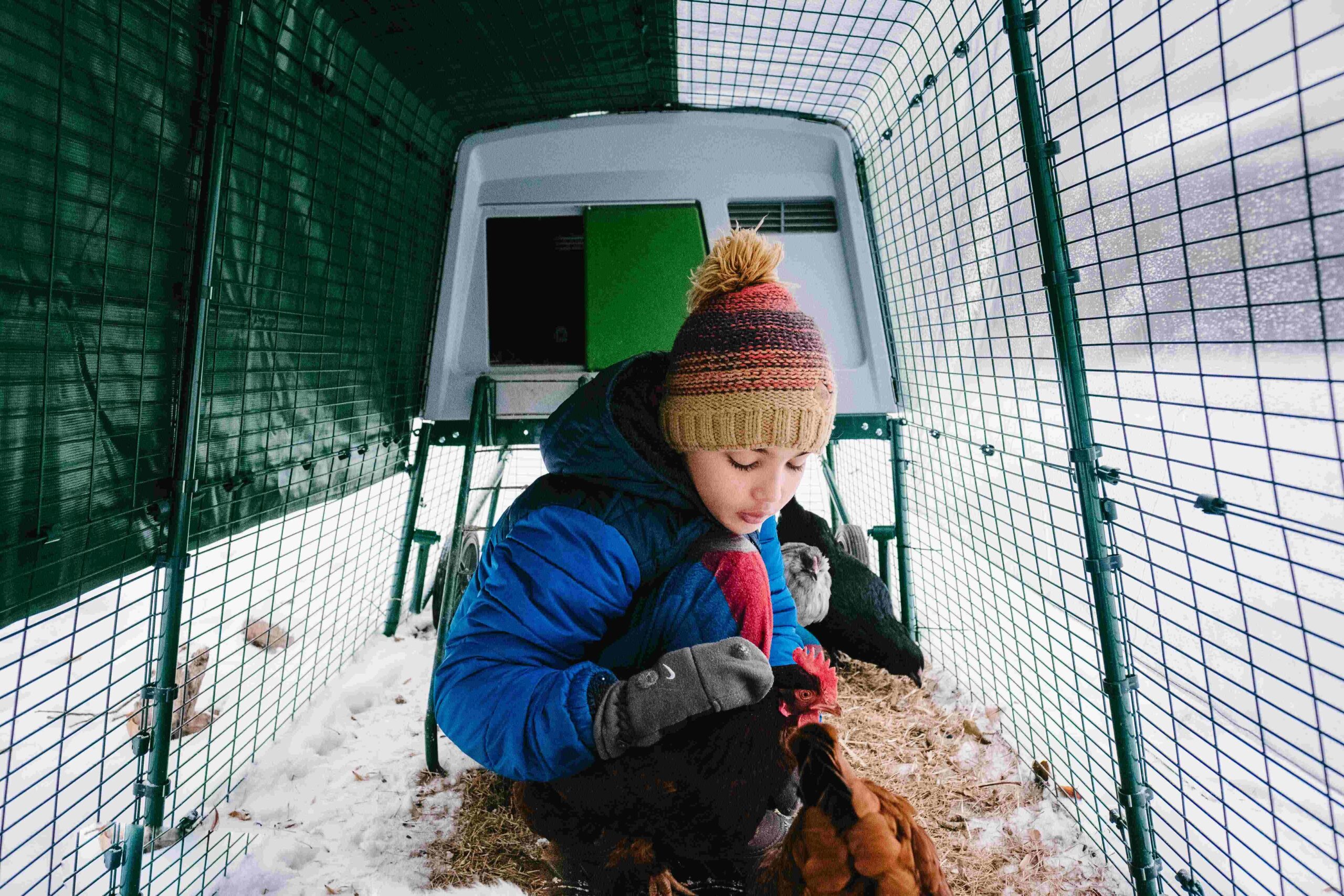 Ein Junge in einem verschneiten Eglu Stall Auslauf mit seinen Hühnern