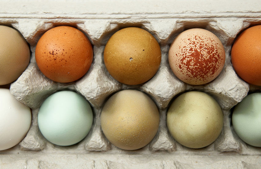 Mehrfarbige Hühnereier in einer Eierschachtel