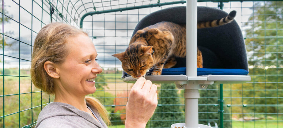 Eine Halterin beschäftigt sich mit ihrer Katze – die Katze sitzt auf dem Omlet Freestyle Kletterbaum im Omlet Katzengehege