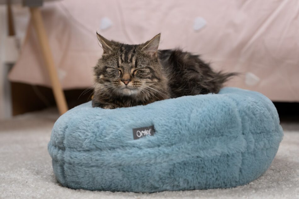 Eine braune Katze schläft auf dem Maya Donut Katzenbett