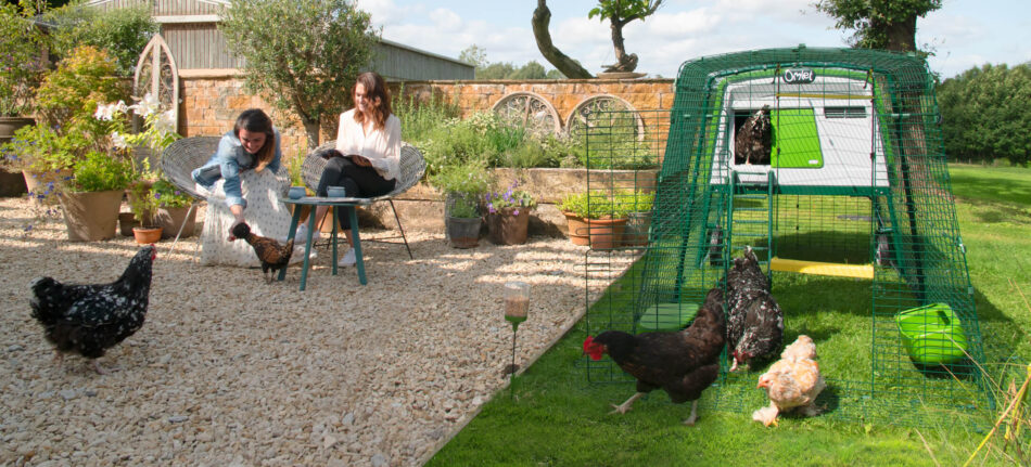 Frauen bei einer Tasse Tee im Sonnenschein und ihre Hühner neben dem geräumigen Omlet Eglu Cube Hühnerstall
