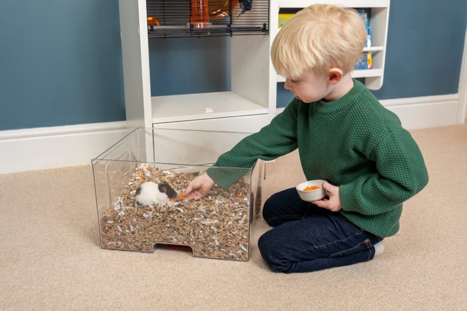 Ein Junge freundet sich mit seinem Hamster an, Qute Hamsterkäfig von Omlet