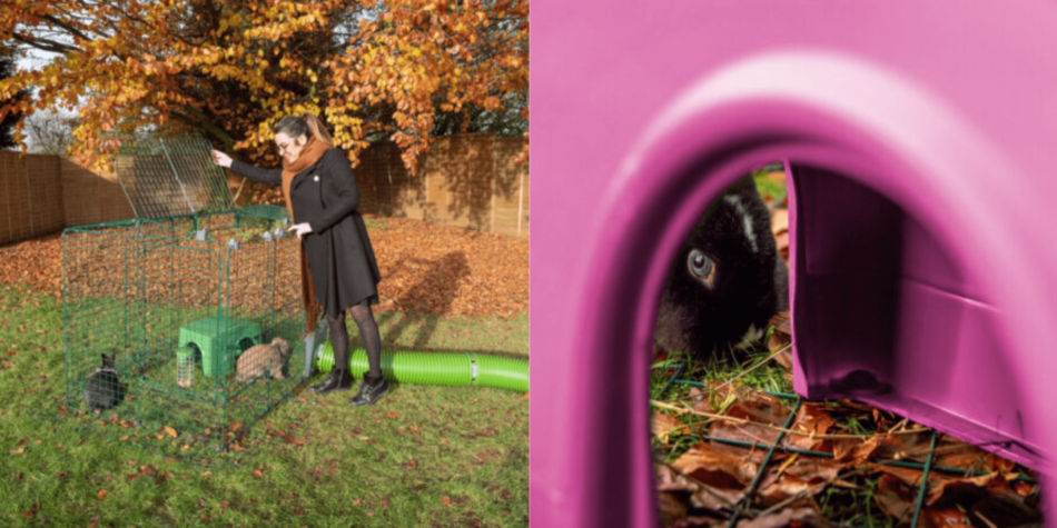 Herbstcollage eines Kaninchens im Zippi-Kaninchenunterschlupf und einer Frau mit dem Zippi-Tunnelsystem