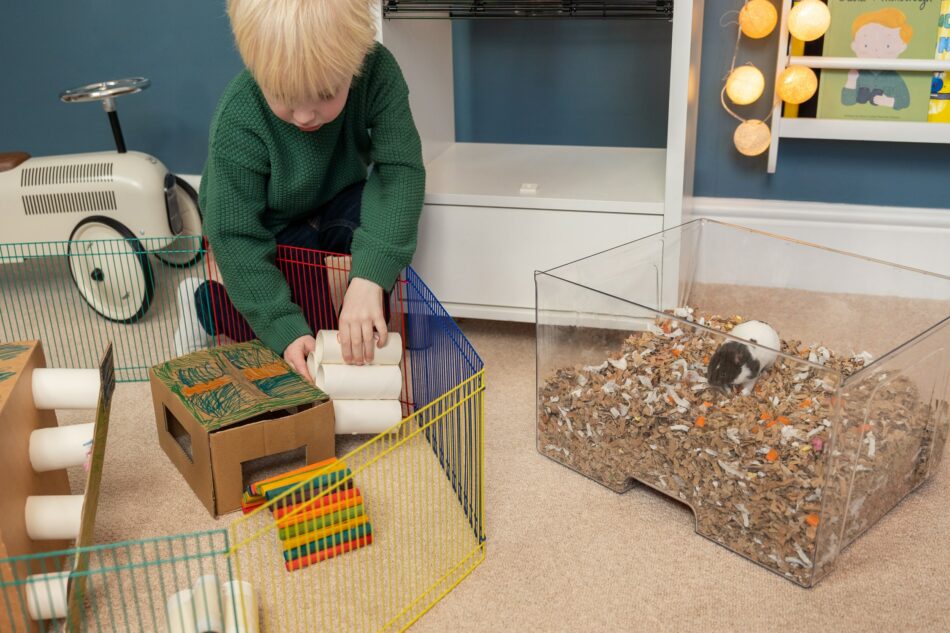 Ein Junge spielt mit seinem Hamster, der in der Einstreuschublade des Qute Hamsterkäfigs ist 