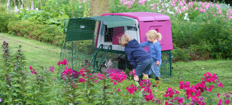 Zwei Kinder schauen sich einen lilafarbenen Omlet Eglu Cube Hühnerstall an