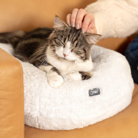 Eine Katze wird auf dem Maya Donut Katzenbett gestreichelt