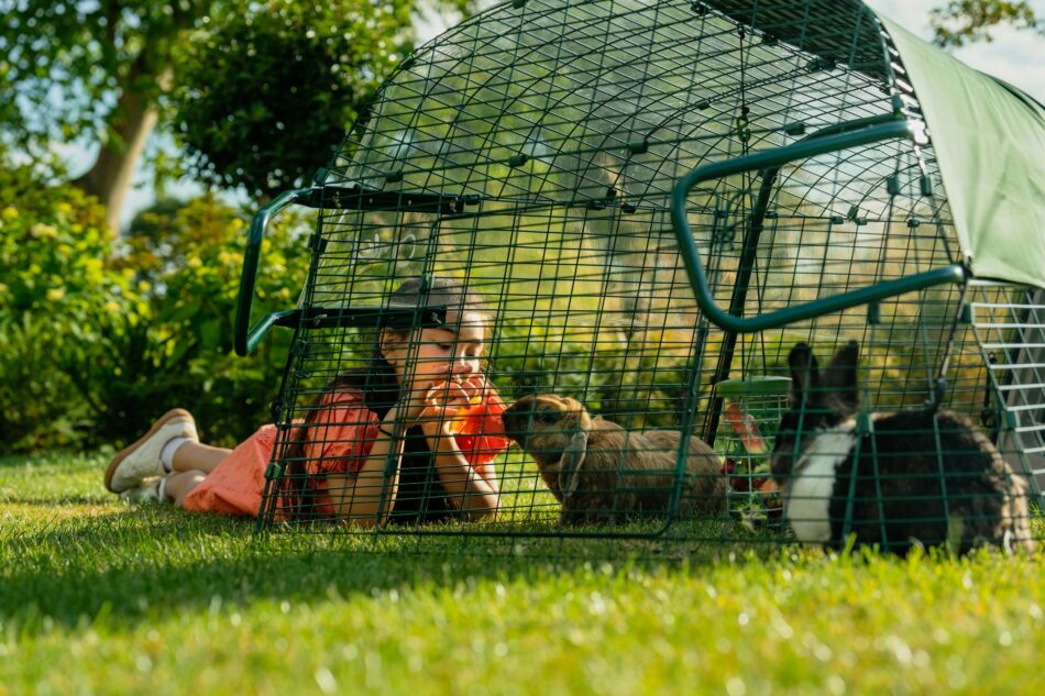 Ein Mädchen füttert ein Kaninchen durch den Omlet Eglu Go Kaninchenstall