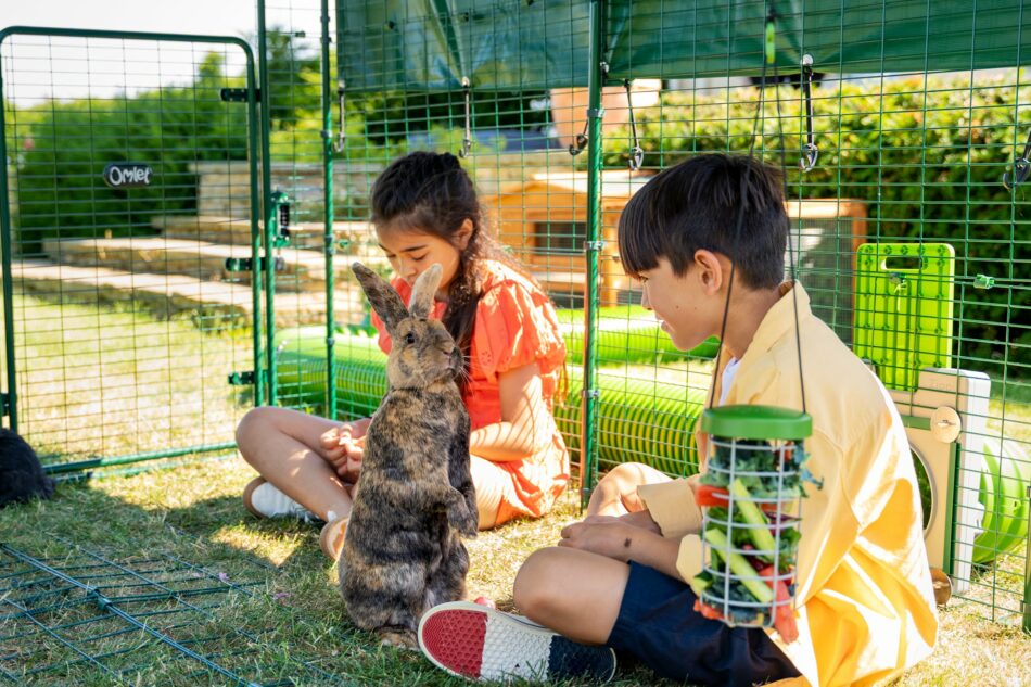 Zwei Kinder im Freien mit ihrem Kaninchen im Omlet Outdoor Kaninchengehege