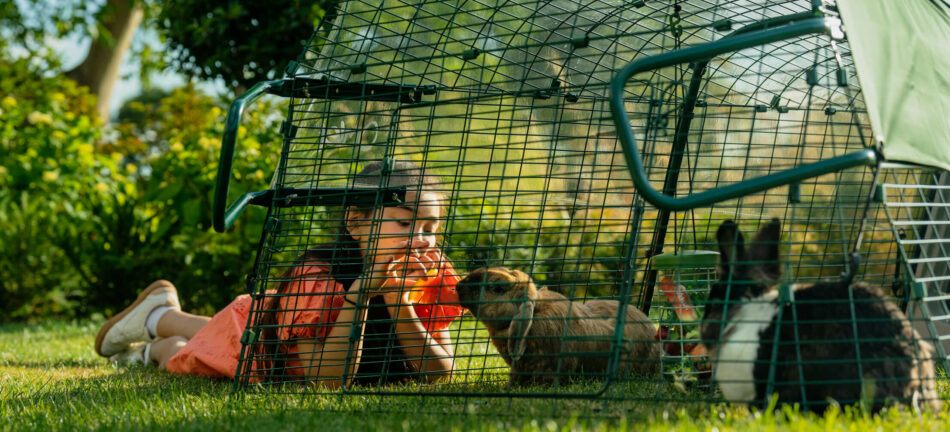 Ein Mädchen füttert ein Kaninchen im Auslauf des Eglu Go