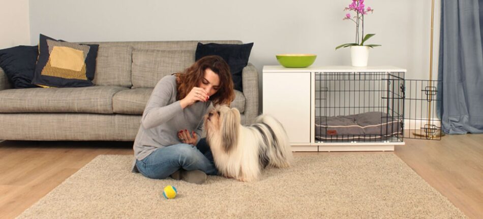Eine Frau bringt ihrem Hund neben der Omlet Fido Studio Hundebox Tricks bei