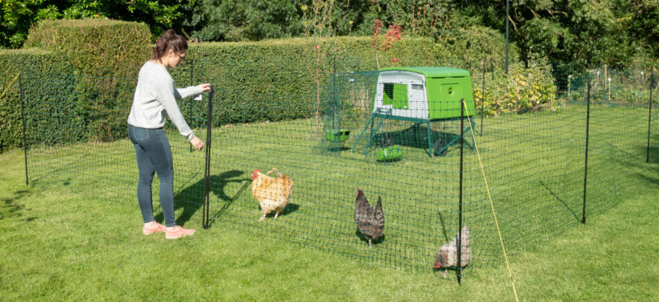 Eine Hühnerhalterin kümmert sich um ihre Hühner in deren von Omlets mobilen Hühnerzaun eingegrenzten Auslauf mit Eglu Cube Hühnerstall 