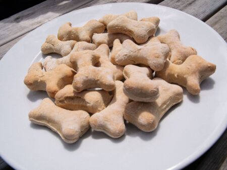 Geburtstagsparty mit selbstgemachten Hundekeksen