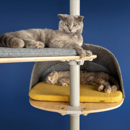 Zwei Katzen entspannen sich auf dem Freestyle Kletterbaum für Katzen