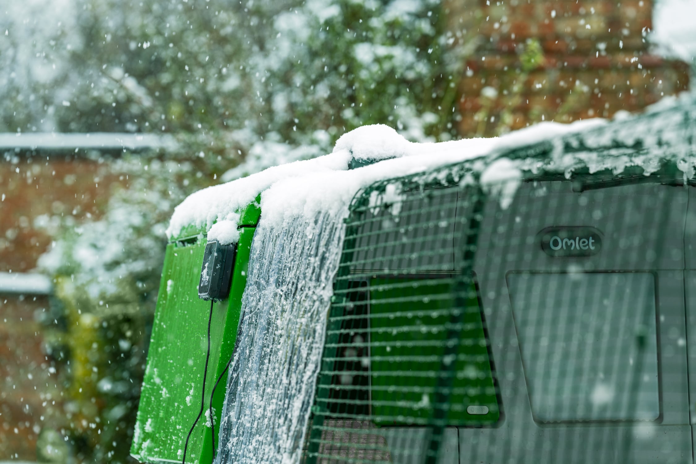 Ein Eglu Pro mit Wetterschutzabdeckung im verschneiten Garten