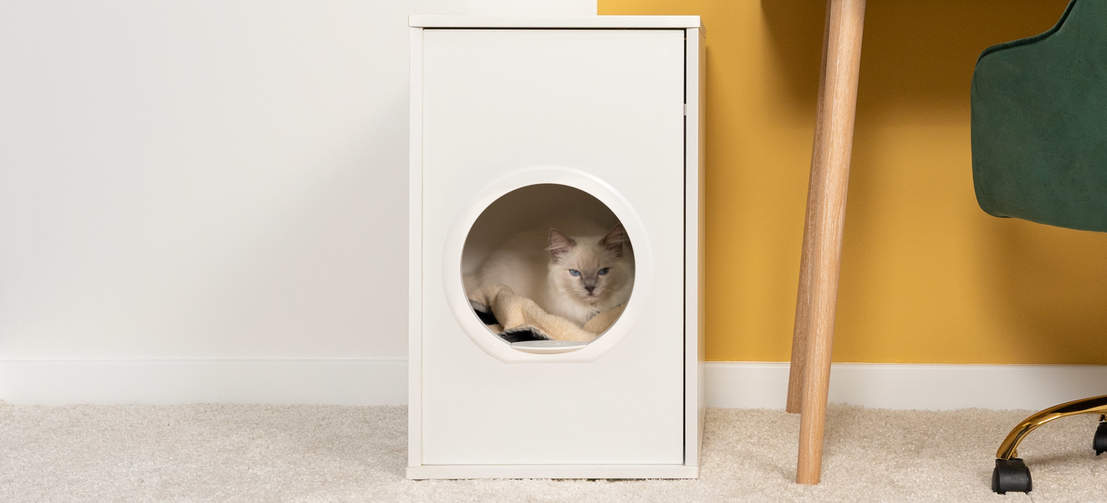 Eine Katze versteckt sich in ihrer vertrauten Höhle, stilvolle Designer-Katzenmöbel, Maya Katzenhaus