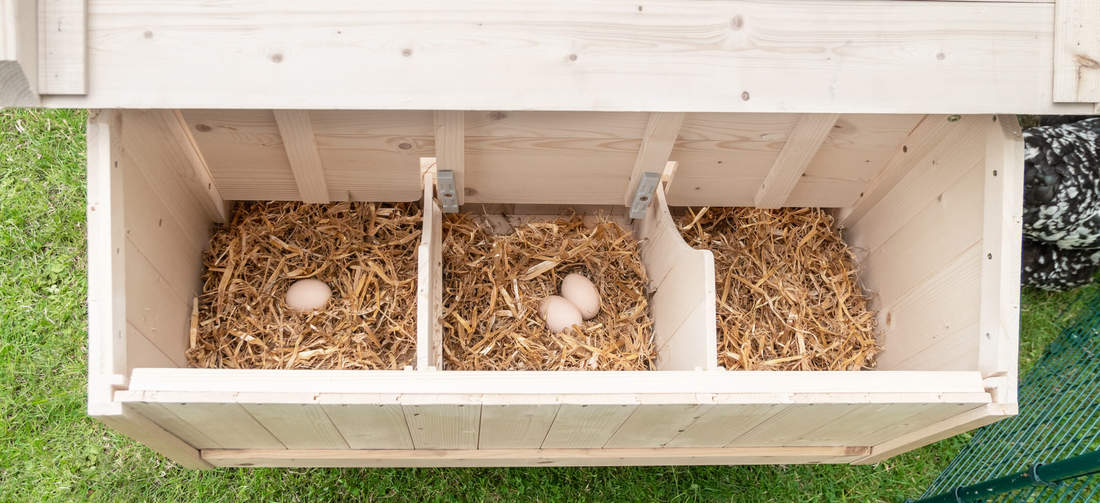 Geräumiger Hühnerstall aus Holz mit Nistkasten für Freiland-Eier