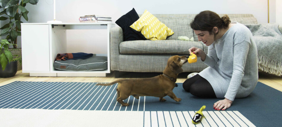 Ein Dackel und seine Besitzerin spielen im Haus mit der Omlet Fido Nook 2-in-1 Hundehütte hinter ihnen