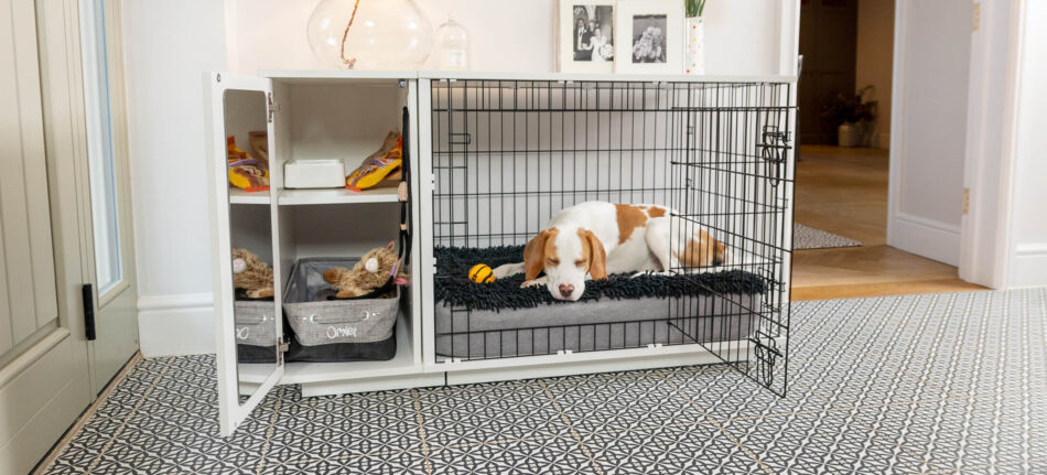 Ein Hund liegt in seiner Fido Studio Hundebox von Omlet