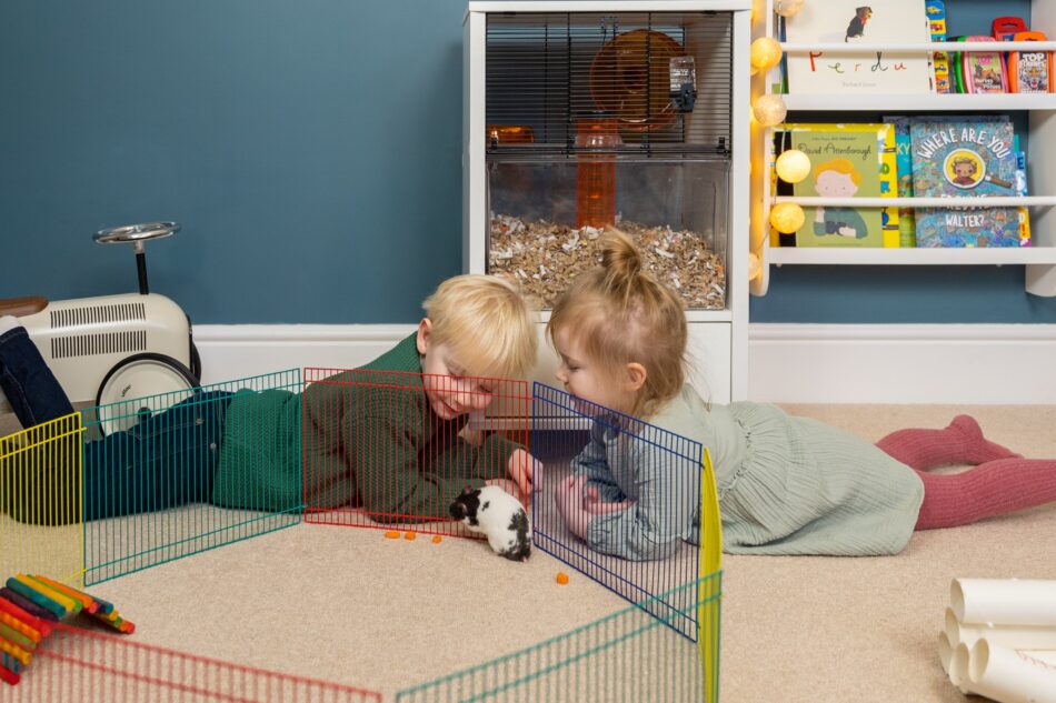 Zwei Kinder schauen einem Hamster im Auslauf zu mit dem Omlet Qute Hamsterkäfig dahinter