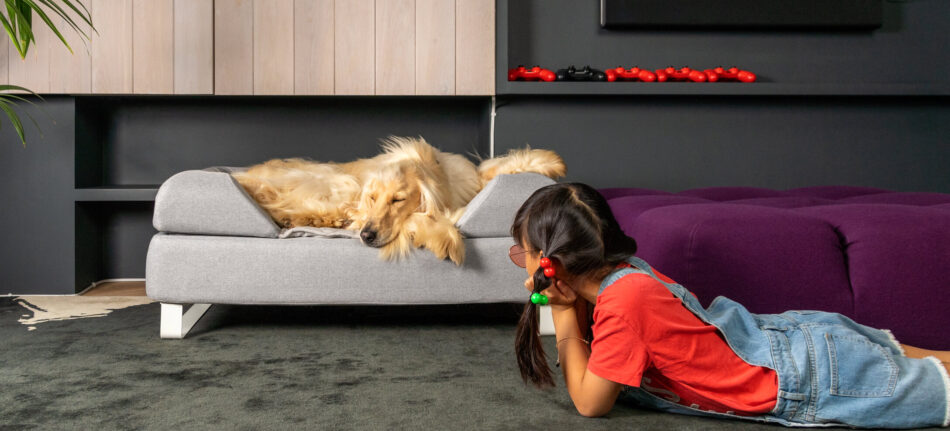 Ein Mädchen schaut ihrem Hund beim Schlafen auf dem Omlet Topology Hundebett zu
