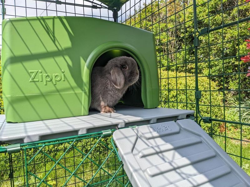 Ein Kaninchen im grünen Zippi-Unterschlupf auf den Kaninchenplattformen von Omlet