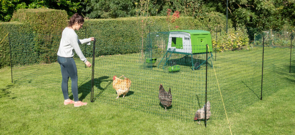 Omlets Hühnerzaun fügt sich nahtlos im Garten ein und bietet Hühnern ihren eigenen Bereich.