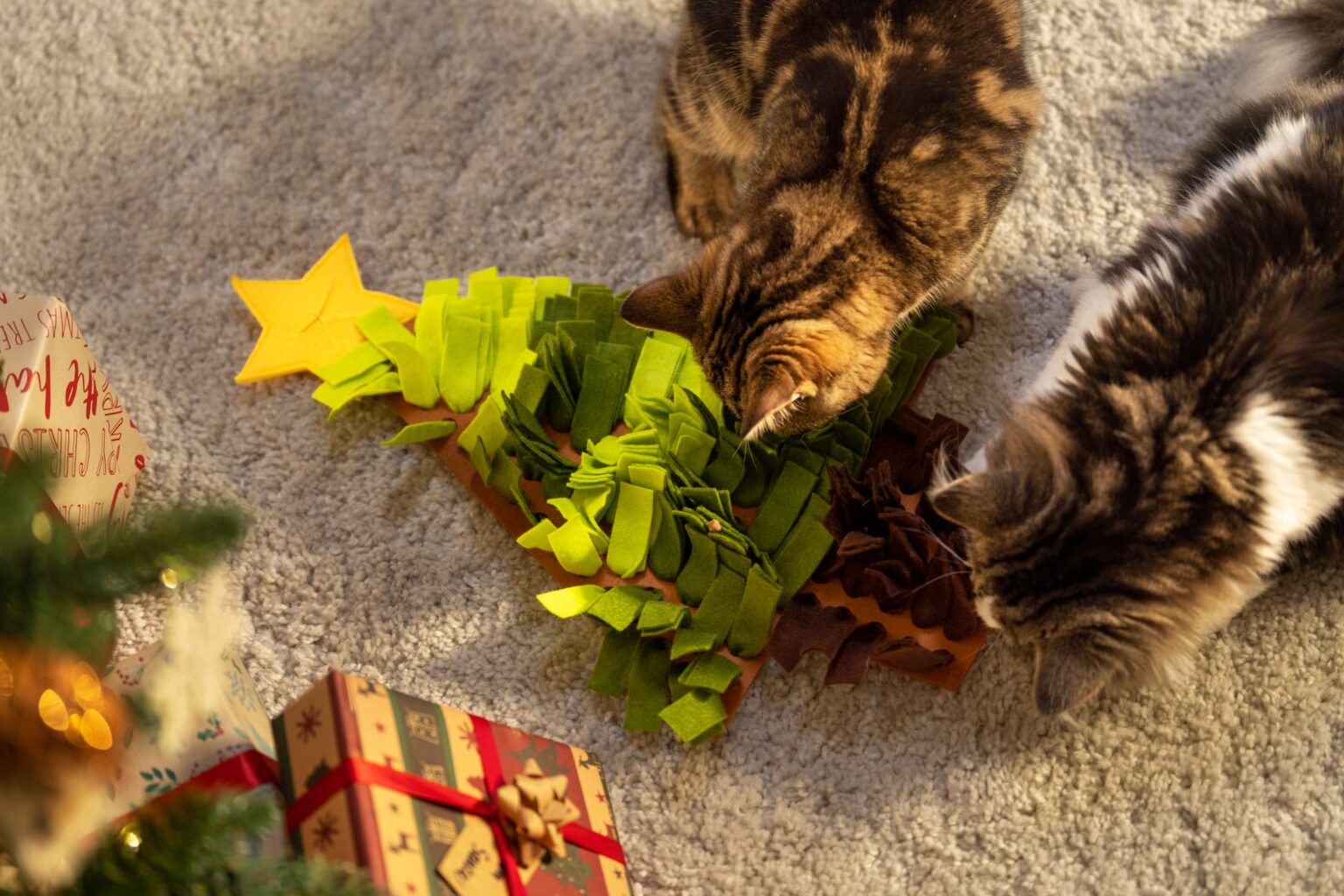 Zwei Katzen spielen an Weihnachten mit einem Katzenspielzeug in Form eines Tannenbaums