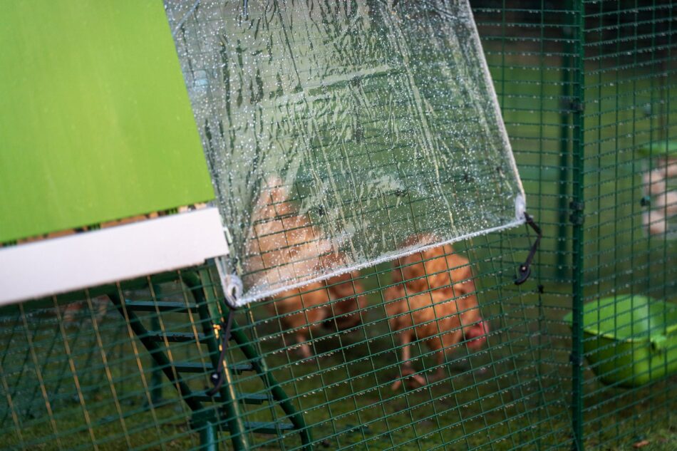 Hühner werden unter den Wetterschutzabdeckungen von Omlet vor Regen geschützt