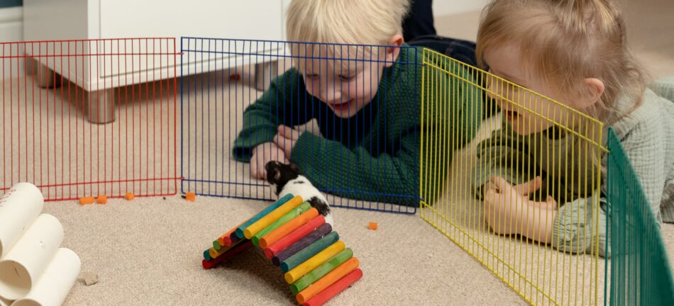 Kinder beim Spielen mit ihrem Hamster in seinem Laufstall 