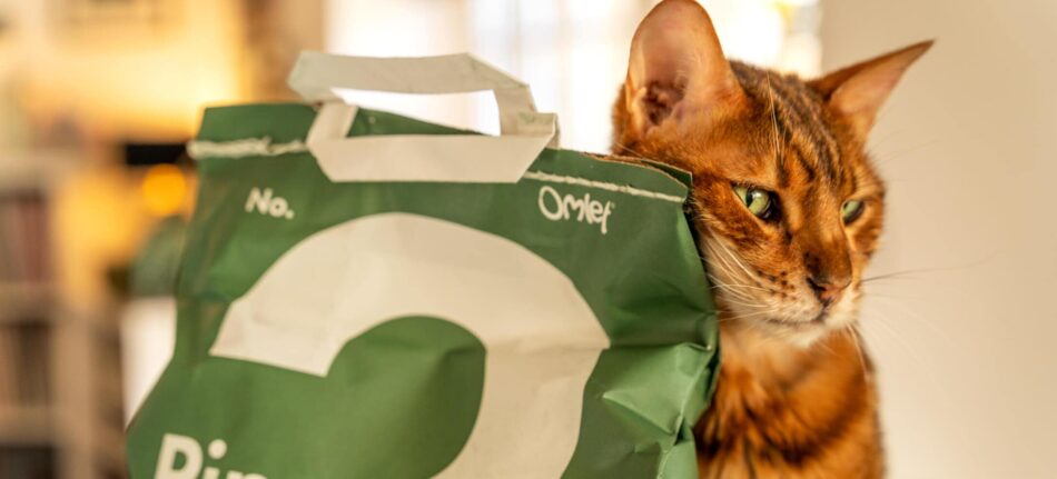 Reduzierung des CO2-Pfotenabdrucks der Katze – eine Katze reibt sich an einer Packung Omlet Katzenstreu mit Kiefernpellets  
