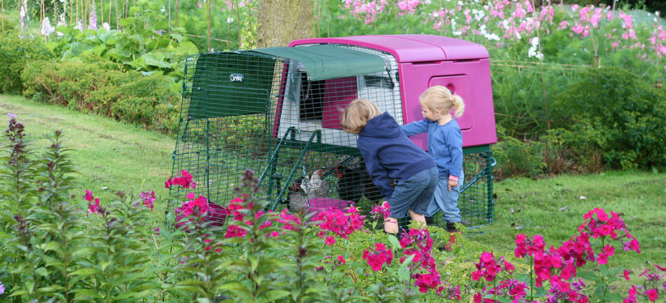 Zwei Kinder betrachten den lilafarbenen Omlet Eglu Cube Hühnerstall