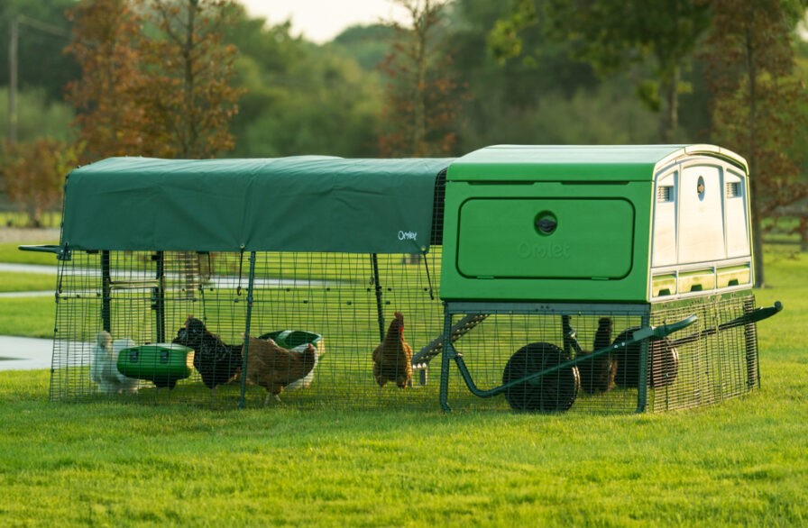 Eglu Pro Einrichtung in einem Garten mit Hühnern im befestigten Auslauf