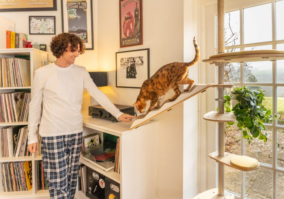 Ein Mann und seine Katze, die auf dem Omlet Indoor Freestyle Kratzbaum ist  