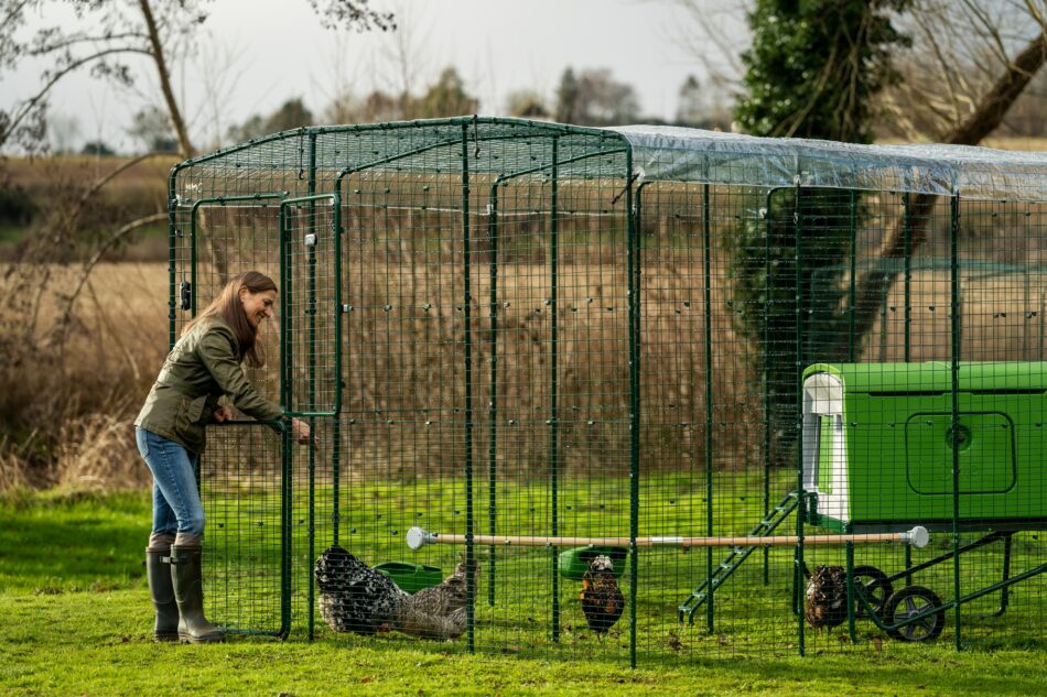 Eine Hühnerhalterin schaut ihren Hühnern in deren Omlet Walk In Run – Begehbaren Hühnergehege zu
