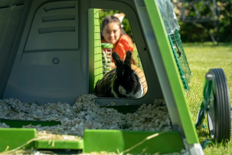Ein Mädchen schaut seinem Kaninchen im Omlet Eglu Go Kaninchenstall zu