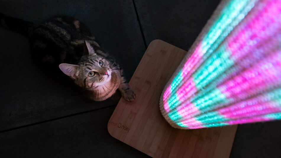 Eine Katze schaut auf die rosafarbenen und blauen Lichter des Switch Kratzstamms 