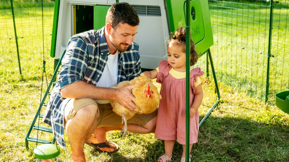 Ein Mann hält neben einem Mädchen ein Huhn im Omlet Walk In Hühnergehege  