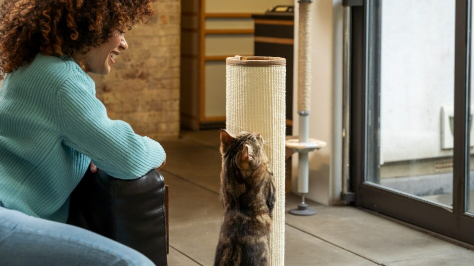 Eine Katzenhalterin schaut ihrer Katze beim Kratzen am Omlet Switch Kratzstamm zu
