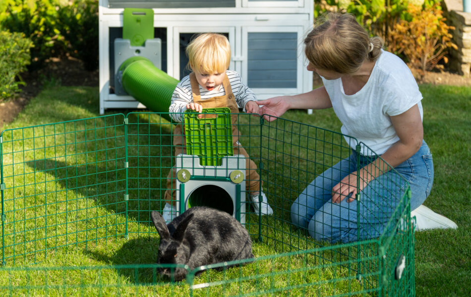 Ein Kind und eine Frau spielen im Omlet Zippi Laufstall mit ihren Kaninchen