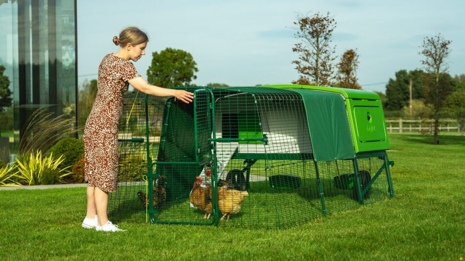 Eine Frau lässt die Hühner aus dem Omlet Eglu Pro heraus