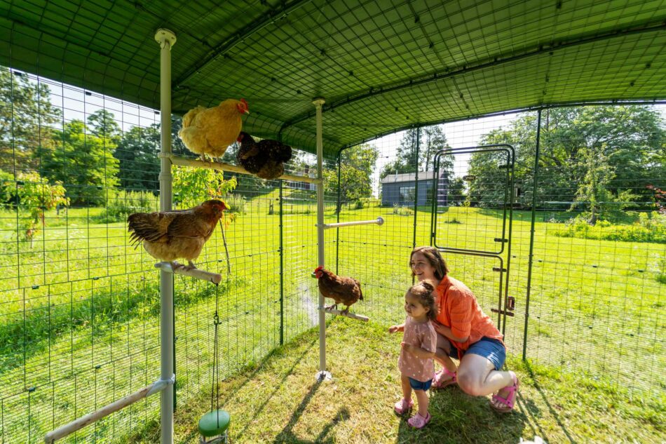 Botschafterin Madison im Walk In Run – Begehbaren Hühnergehege mit ihrer Tochter und Hühnern