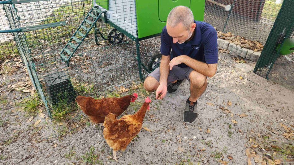 Jeremy Gary beim Füttern seiner Hühnerschar neben dem Eglu Cube Hühnerstall von Omlet