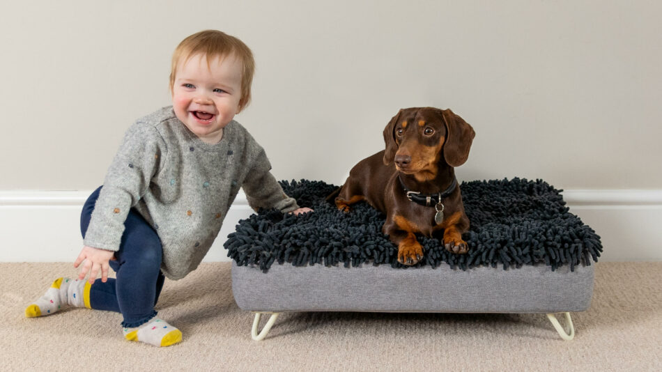 Ein Kleinkind mit einem Hund, der auf dem Omlet Topology Bett sitzt